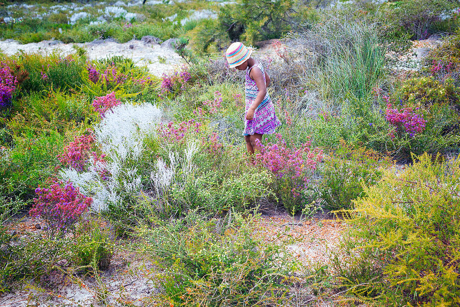 Girl walking through meadow of wildflowers, Jurien Bay, Western Australia, Australia Photograph by Gloriasalgado