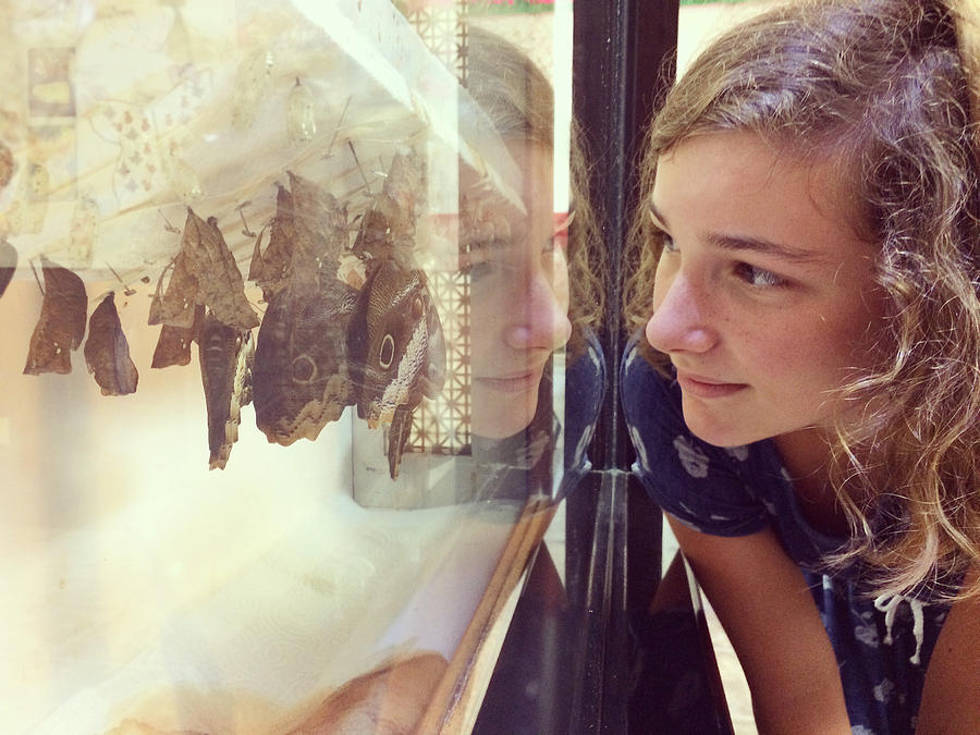 Girl Watching Giant Owl Butterflies Emerge from Chrysalis Photograph by Cyndi Monaghan