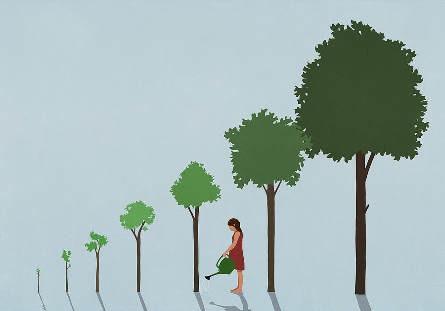Girl watering sequence of growing trees Drawing by Malte Mueller