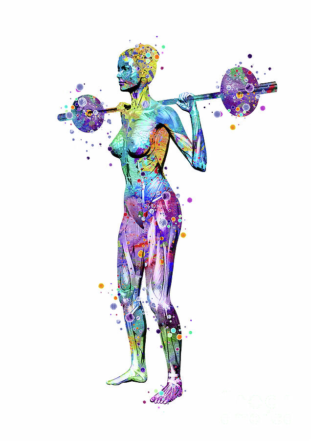 Girl Weightlifter Watercolor Anatomy Digital Art by White Lotus