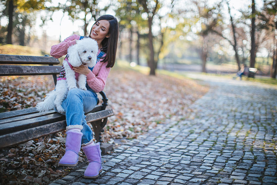 Girl with cute dog in park Photograph by South_agency