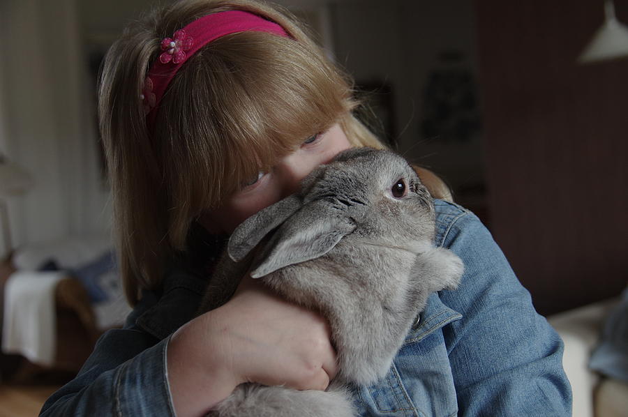 Girl with rabbit in here arms Photograph by Middelveld