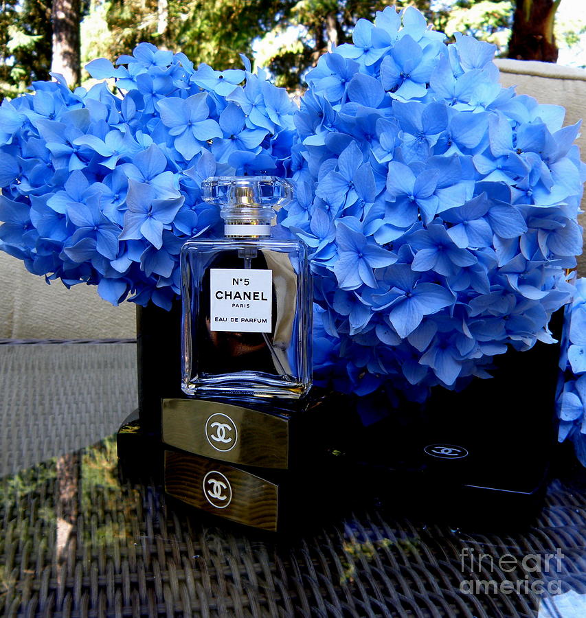 Girls Fantasy. Still Life With Hydrangea Bouquet 1 #1 Photograph by Tatyana Searcy