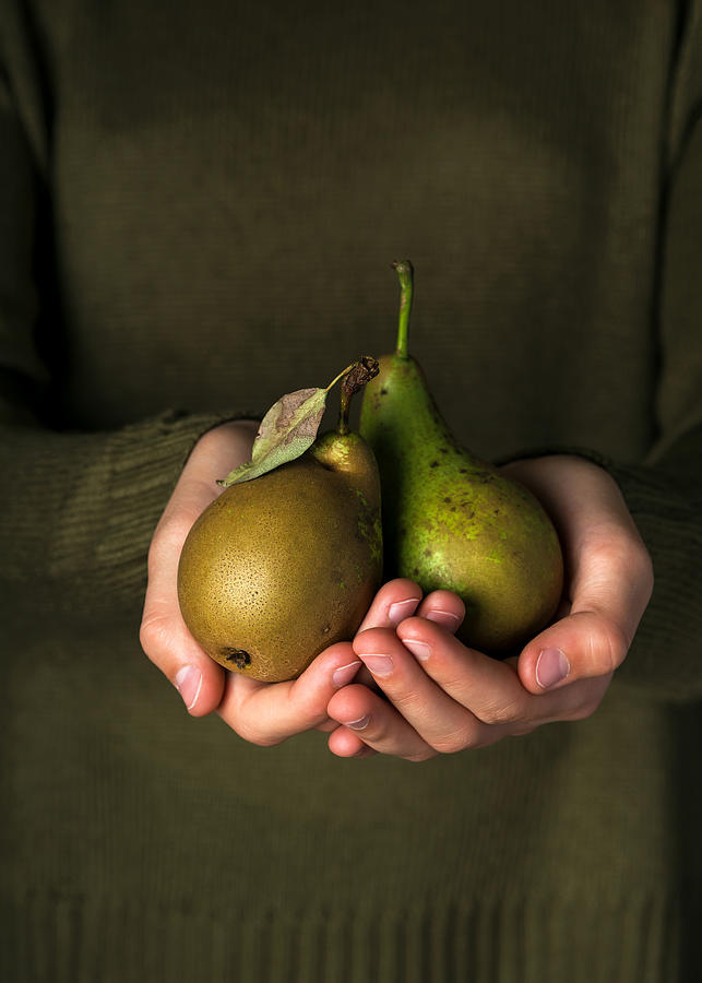 Girls hands with freshly harvested pears. Fresh organic green pears. Photograph by Oksana Schmidt