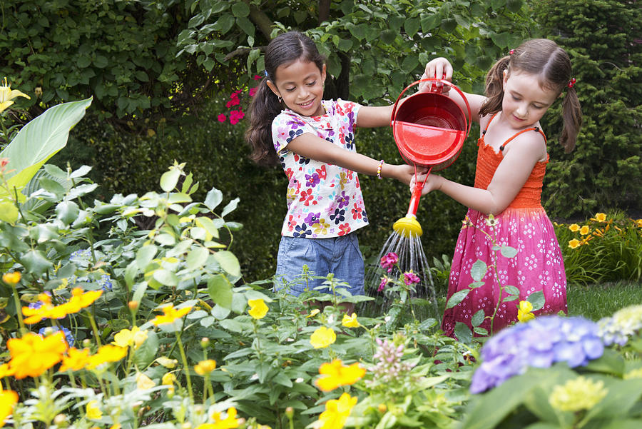 Girls watering flowers in backyard Photograph by Jose Luis Pelaez Inc