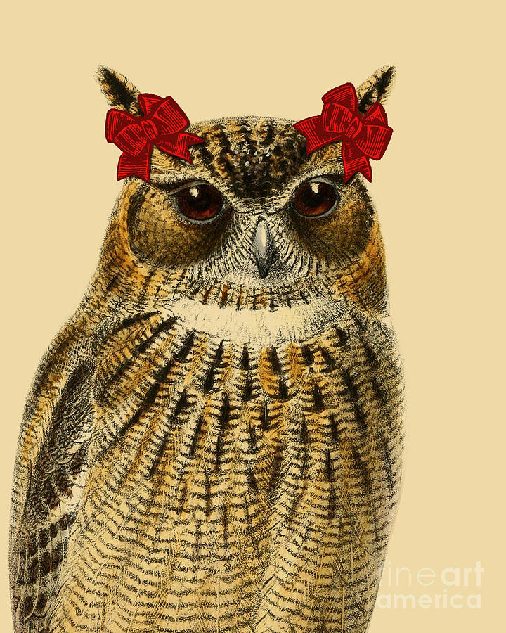 Owl Digital Art - Girly Owl by Madame Memento