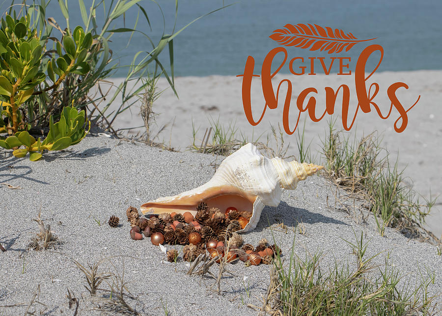 Give Thanks Conch Photograph by Robert Wilder Jr