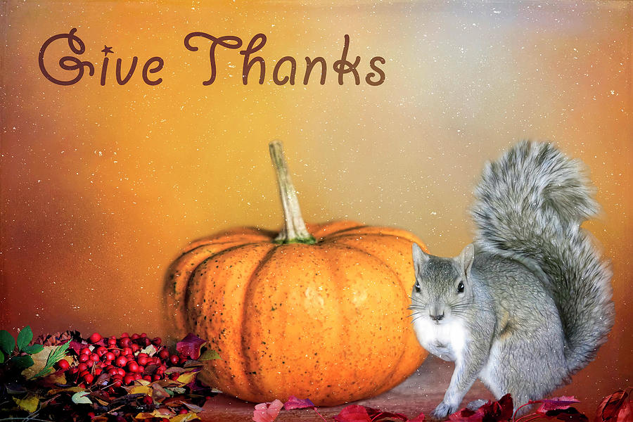 Thanksgiving Photograph - Give Thanks  by Donna Kennedy