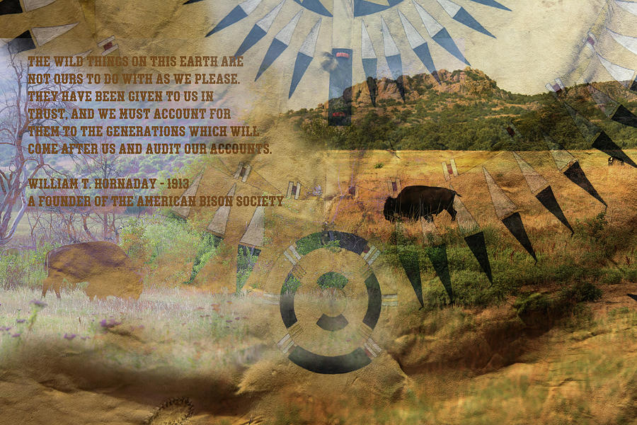 Given to Us in Trust - Bison postcard Photograph by Toni Hopper