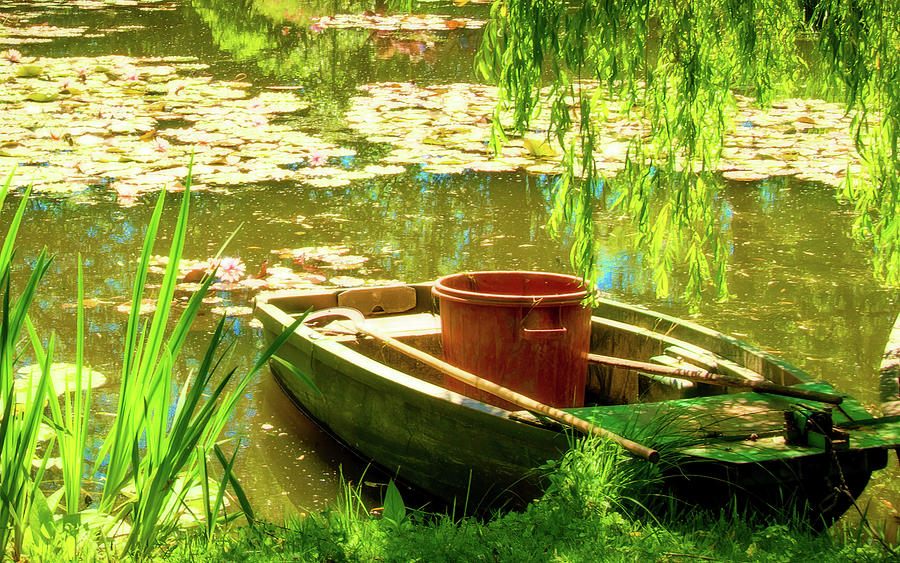 Monets Lily Pond Photograph by Douglas Wielfaert