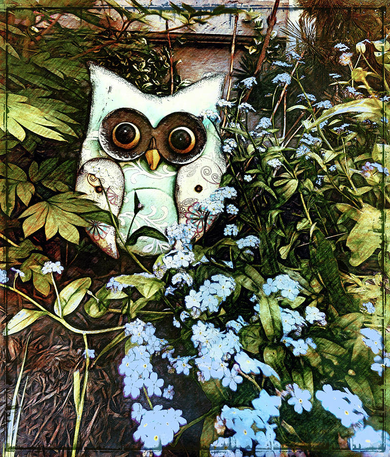 Giving A Hoot In The Forget-Me-Nots Photograph by Leslie Montgomery