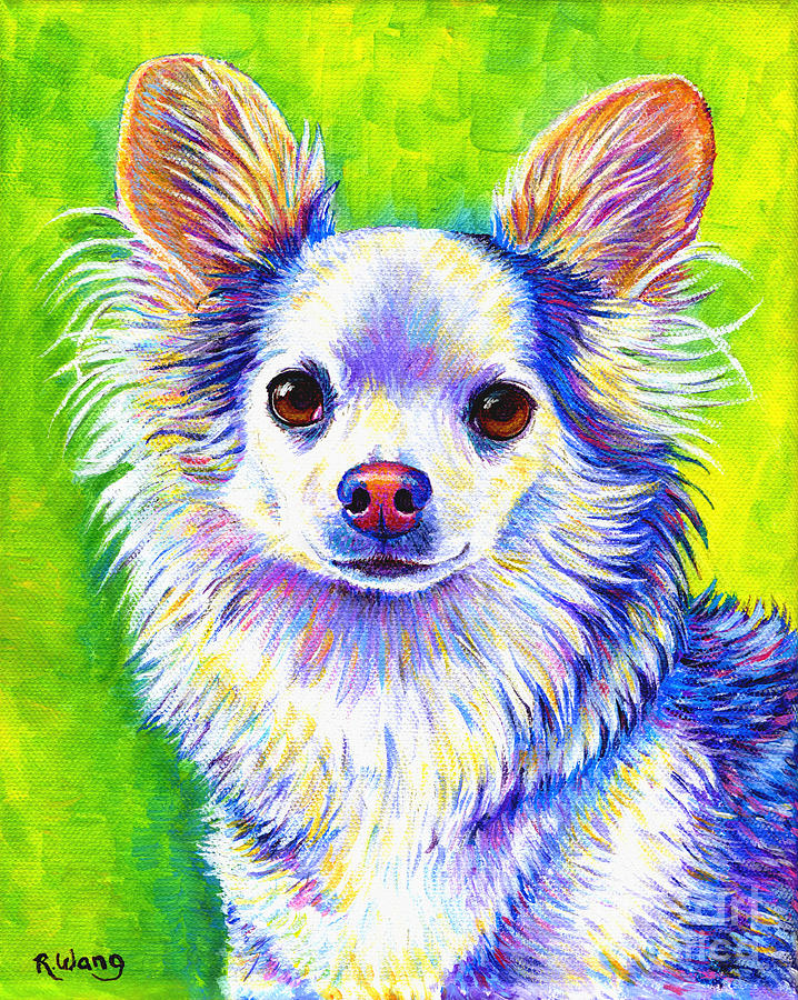Colorful Cute Longhaired Chihuahua Dog Painting by Rebecca Wang