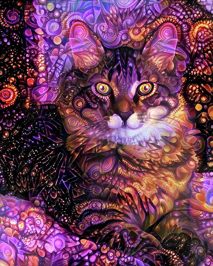 Gizmo the Psychedelic Maine Coon Cat Digital Art by Peggy Collins
