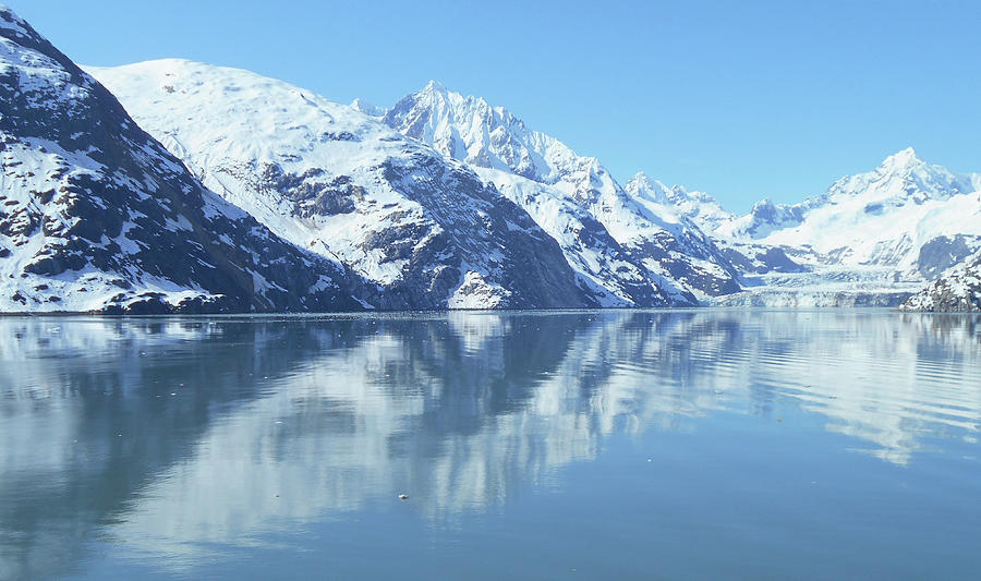 Glacier Bay 17 Photograph by Ron Kandt