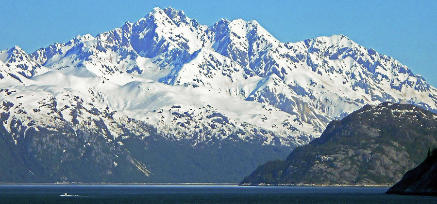 Glacier Bay 5 Photograph by Ron Kandt