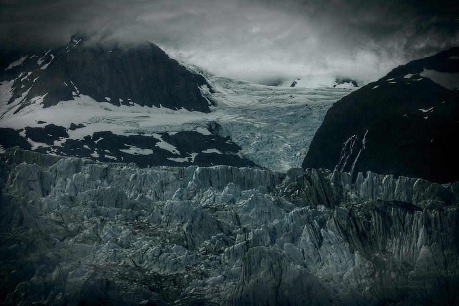 Glacier Bay Expedition Photograph
