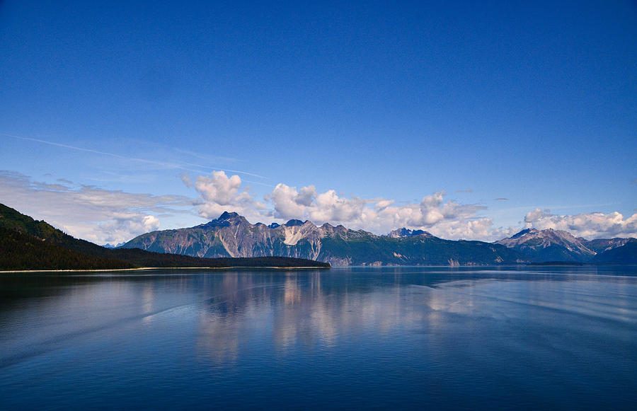 Glacier Bay National Park, Alaska-24 Photograph by Alex Vishnevsky