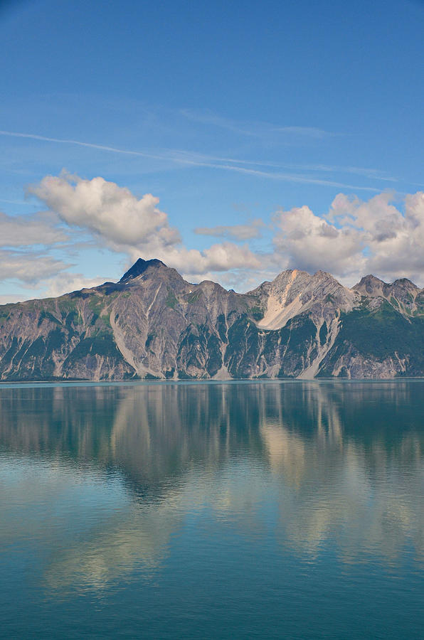 Glacier Bay National Park, Alaska-25 Photograph by Alex Vishnevsky