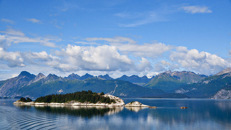 Glacier Bay National Park, Alaska-34 Photograph by Alex Vishnevsky