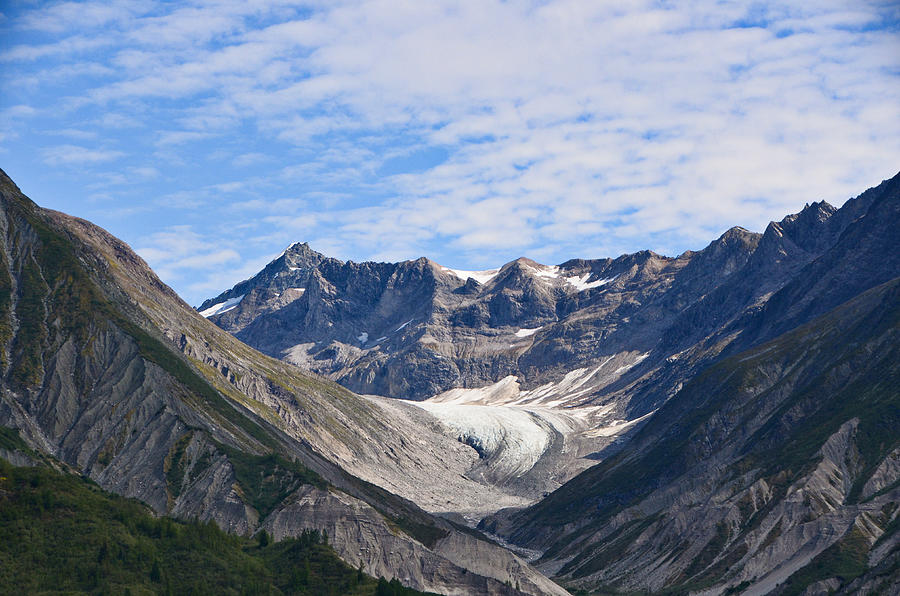 Glacier Bay National Park, Alaska-5 Photograph by Alex Vishnevsky