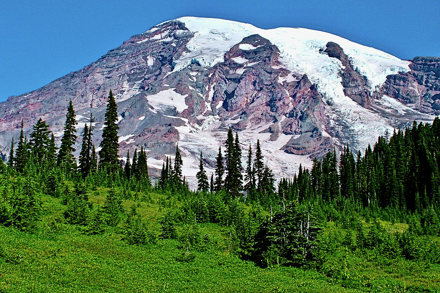 Glacier Capped Mt Rainier, Paradise, Mt Rainier National Park