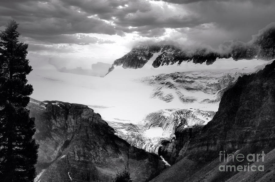 Glacier In Jasper Canada Photograph