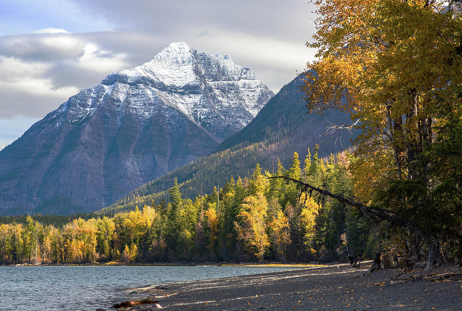 Glacier Lake McDonald Fall Colors Photograph by Jemmy Archer