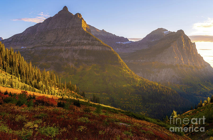 Glacier National Park Mount Oberlin Fall Colors Photograph