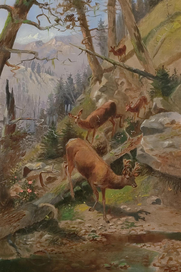 Glacier Park Deer Painting by Charles Marion Russell Glacier Park Deer Painting by Charles Marion Russell