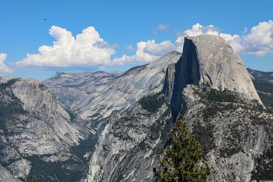Glacier Point Overview - Yosemite Photograph by Robert Blandy Jr