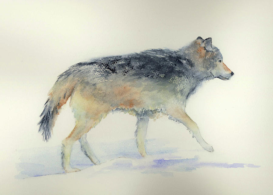 Glacier Wolf Painting by Marsha Karle