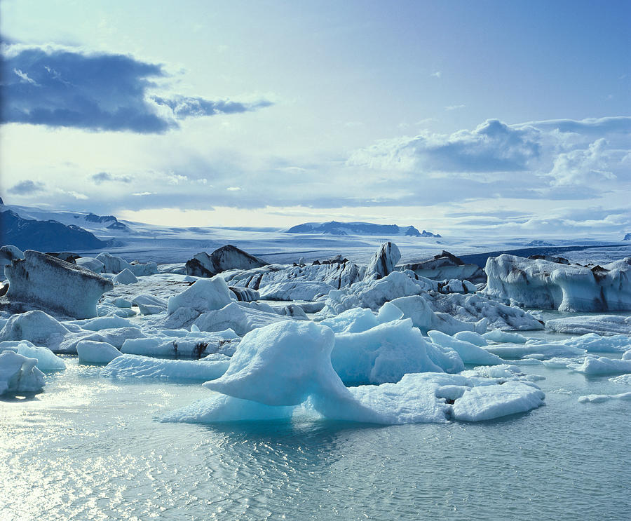 Glaciers floating on arctic water Photograph by Ron Bambridge