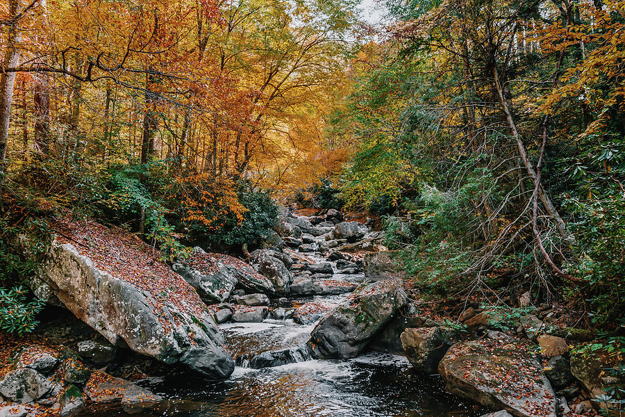 Glad Creek Fall Foliage Photograph by Bella B Photography - Pixels