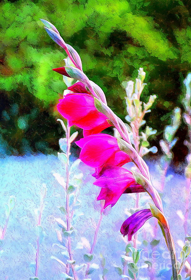 Glad for Gladiolas Photograph by Sea Change Vibes