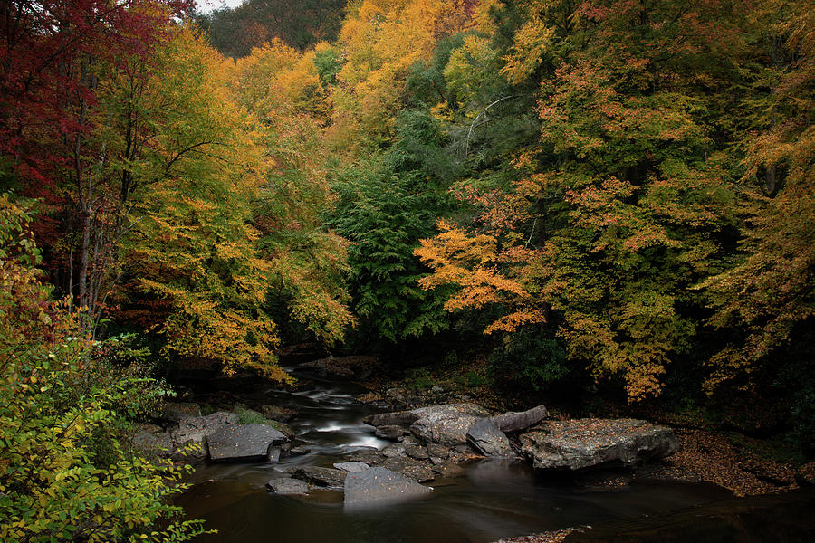 Glade Creek in Autumn Photograph by Robert J Wagner