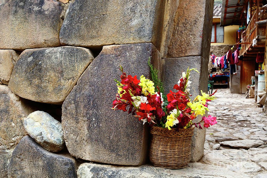 Gladioli flowers and Inca wall Ollantaytambo Peru Photograph by James Brunker