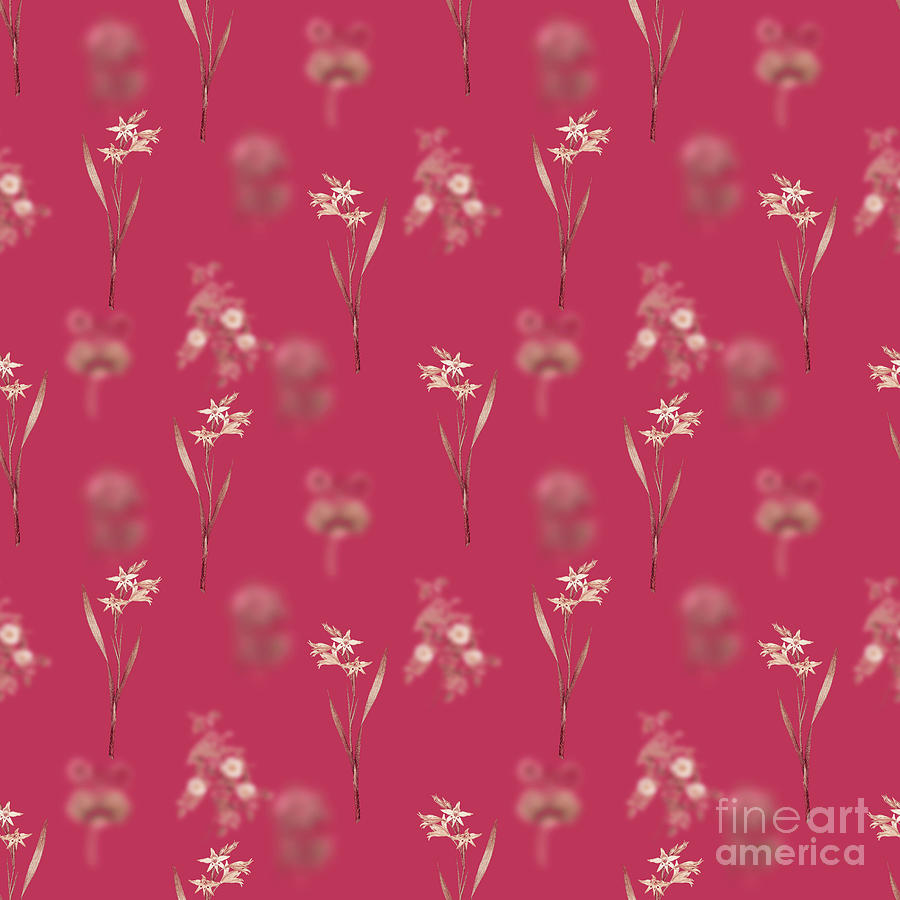 Gladiolus Cuspidatus Botanical Seamless Pattern In Viva Magenta N.1316 Mixed Media