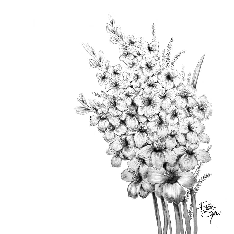Gladiolus Drawing by Patricia Farr Pixels