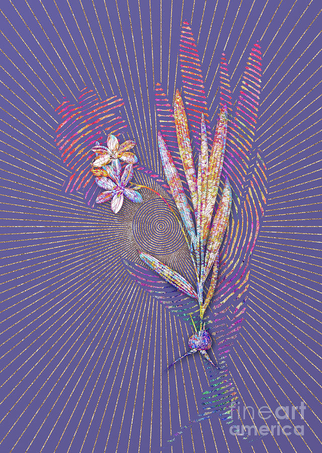Gladiolus Plicatus Mosaic Botanical Art on Veri Peri n.0177 Mixed Media by Holy Rock Design