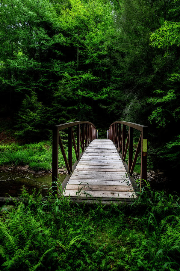 Glady Fork river area a bridge over the stream Photograph by Dan Friend ...