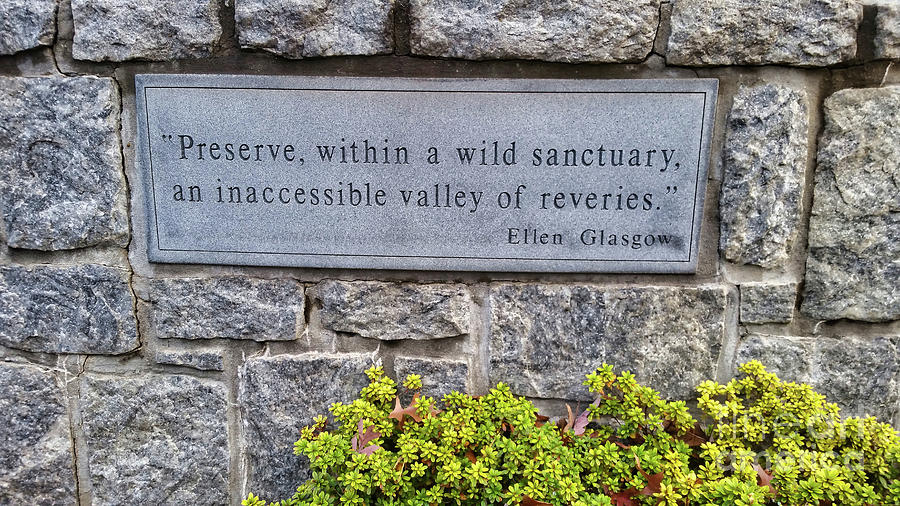 Glasgow Quote at Emory University Photograph by Amy Dundon