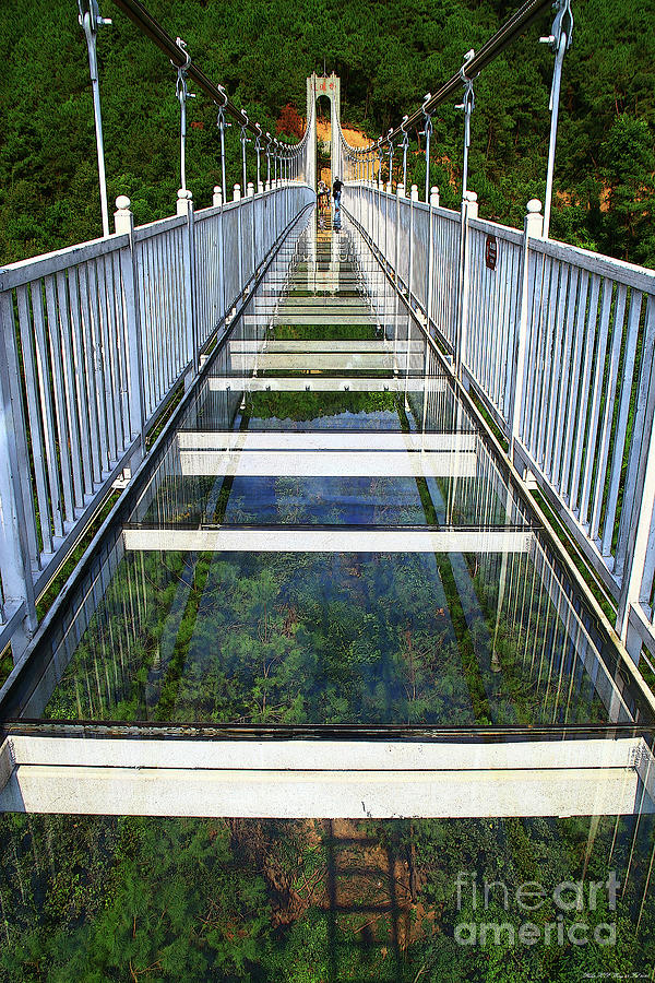 Glass Bridge Mixed Media