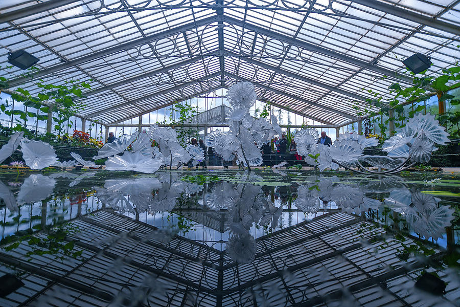 Glass house reflection Photograph by Andrew Lalchan