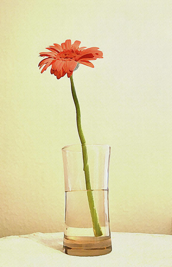 Glass of Water with Daisy Digital Art by Gaby Ethington