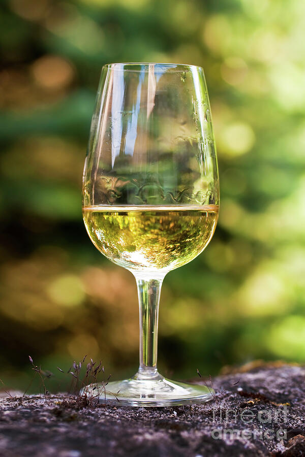 Wine Photograph - Glass of white wine by Delphimages Photo Creations