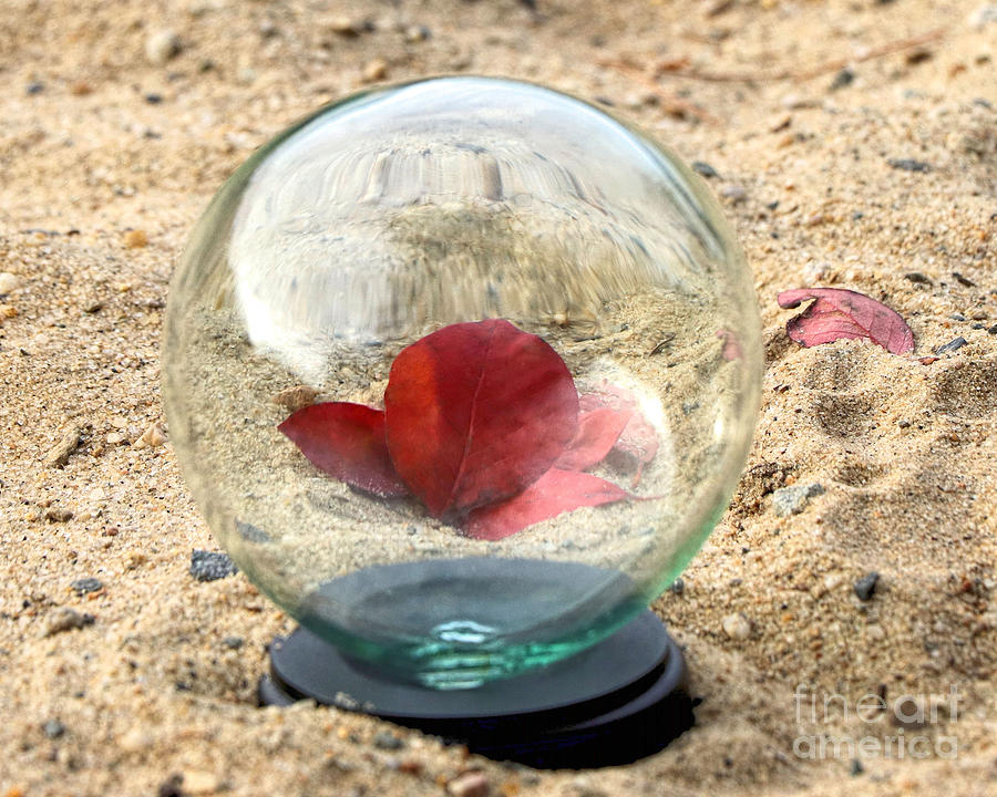 Glass orb photography Photograph by Janice Drew