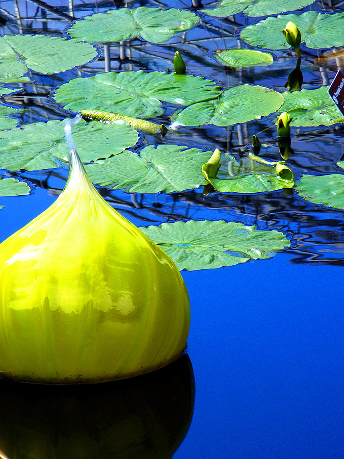 Glass Sculpture Water Lily Missouri Botanical Garden Photograph by Patrick Malon