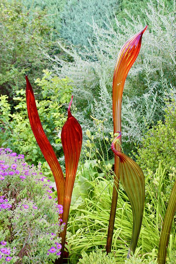 Glass Snakes Photograph by Gundula Tournier - Fine Art America