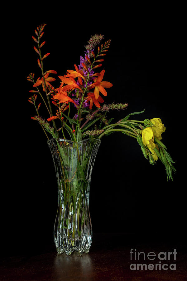 Glass Vase with Yellow and Orange Flowers Still Life Reference Black Background Photograph by Pablo Avanzini