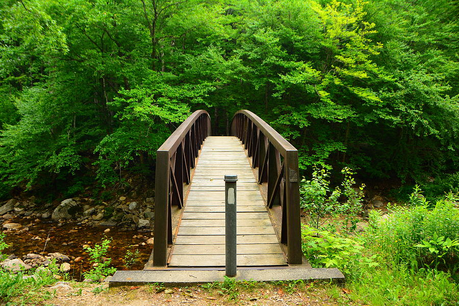 Glastenbury Wilderness Bridge with Spring Green 4 Photograph by Raymond Salani III Glastenbury Wilderness Bridge with Spring Green 4 Photograph by Raymond Salani III